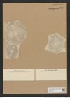 Auliscus rhipis A. Schm. (de-Toni-Nr.: Genus 171, Species 4358) Zeichnungen Sammlung Grunow Nr. 7921 (NHMW-BOT-W0377197)